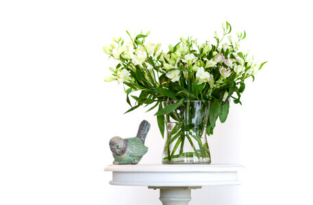 Vase with white flowers photo