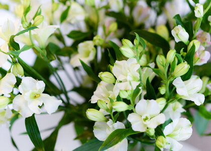 White bouquet photo
