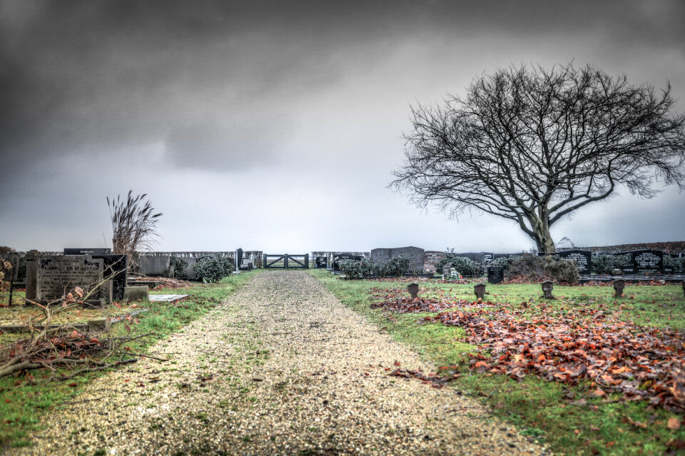 Old cemetary photo