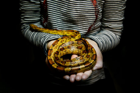 Holding a snake! photo