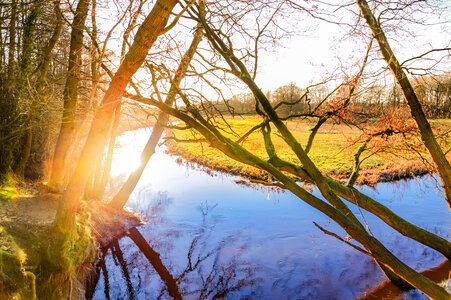 Nature in Drenthe photo