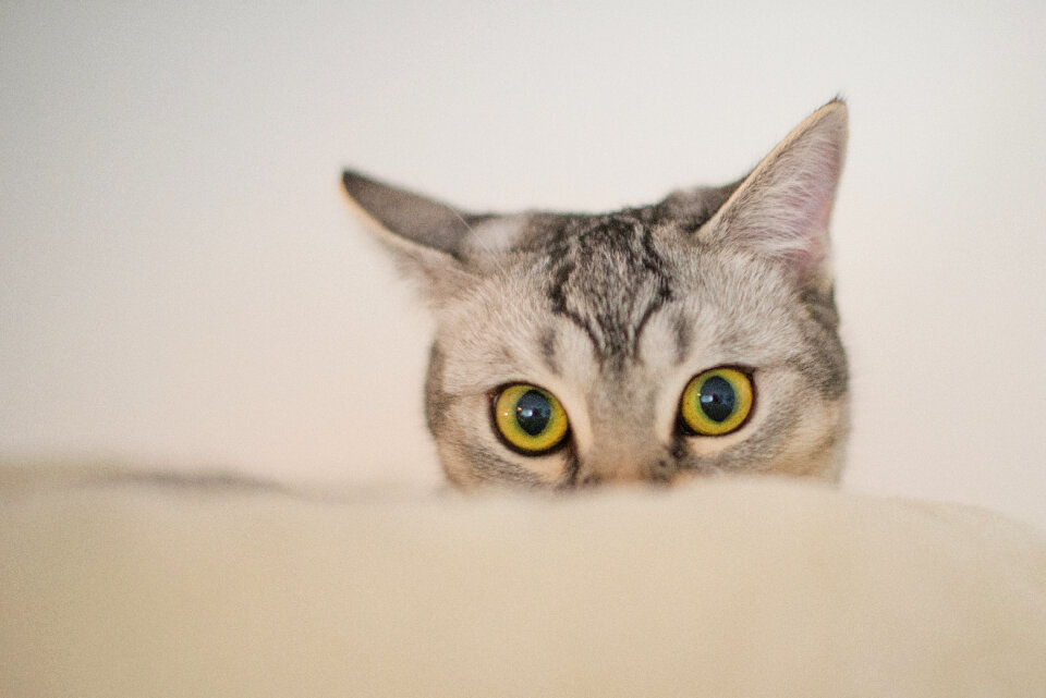I'm watching you to