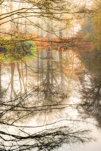 Park pond reflection photo