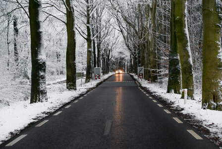 Car lights in the snow