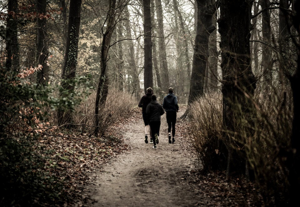 Running in the park