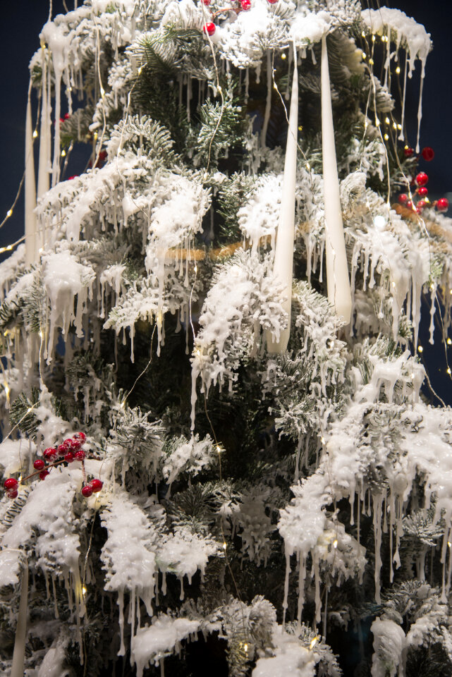 Christmas tree with snow