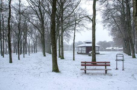 Winter in The Netherlands photo