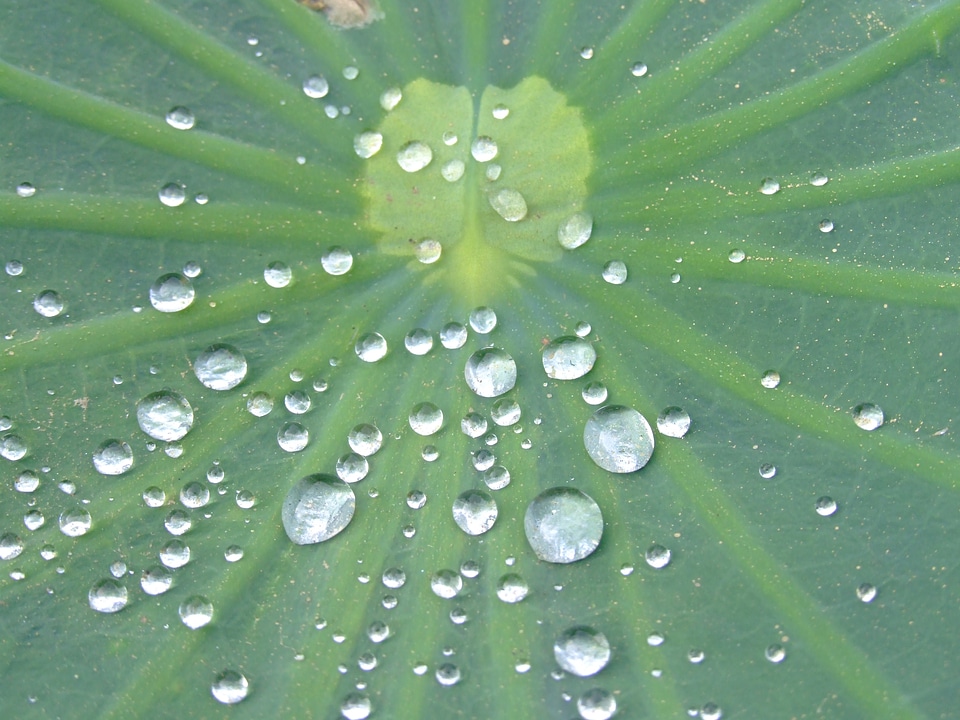 Droplets surface repelling