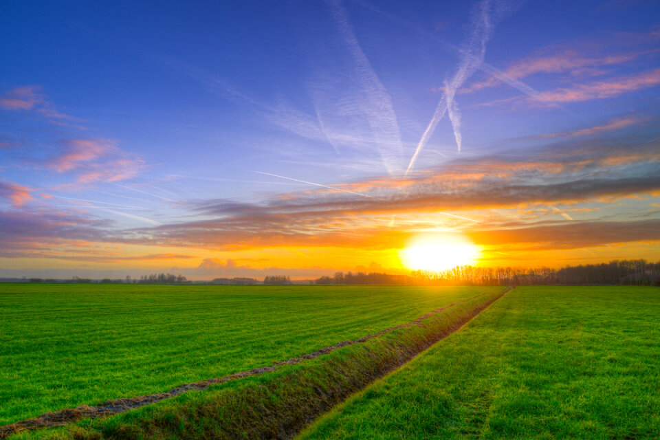 Meadows and sunset