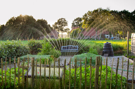 Sprinkling the kitchen garden photo