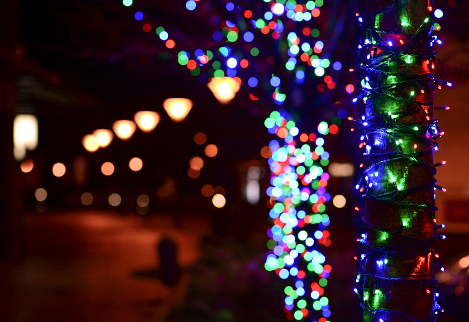 Christmas lights photo