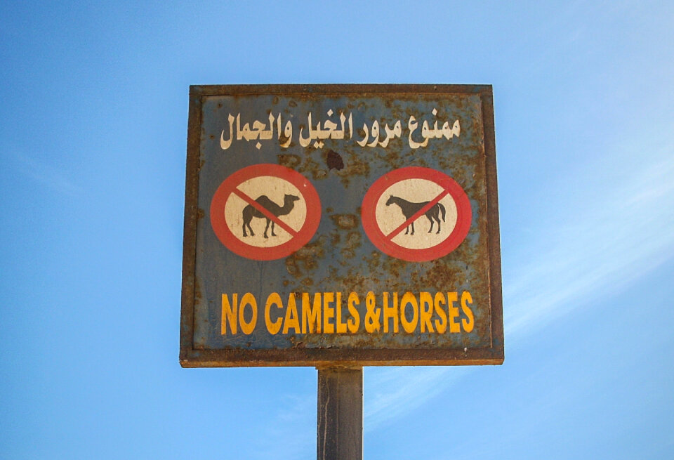 No camels and horses