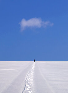 Walking in Snow photo