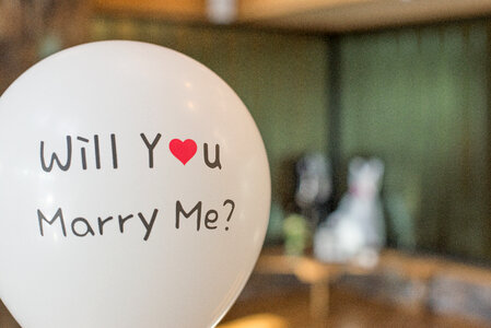 Will you marry me? photo