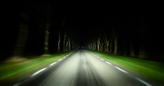 Road at night with trees photo