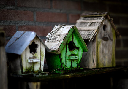 Bird houses photo