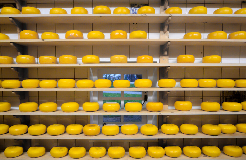 Dutch Gouda cheese