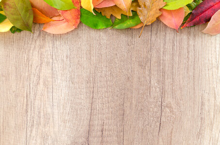 Autumn leaves on wood table photo