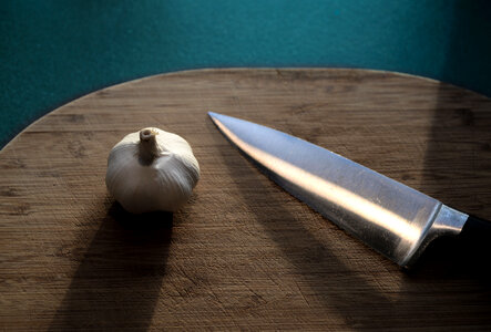 Knife and garlic photo