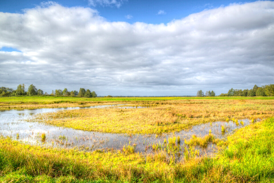 Friendly landscape photo