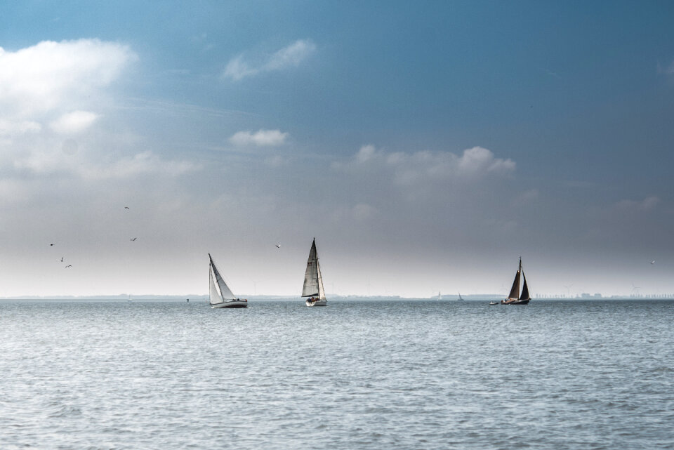 Sail boats photo