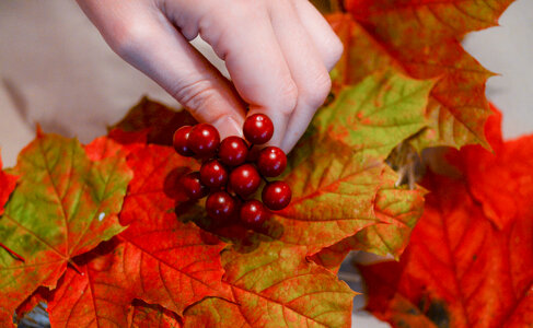 Autumn hobby