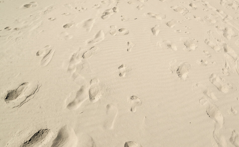 Footprints in the sand photo