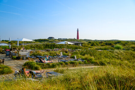Island of Schiermonnikoog photo