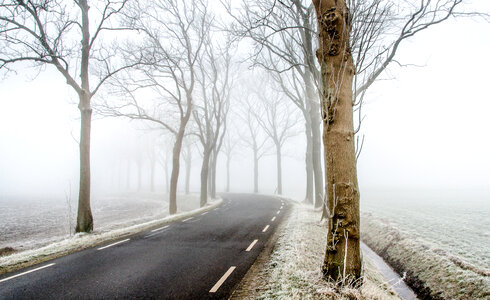 Cold road photo