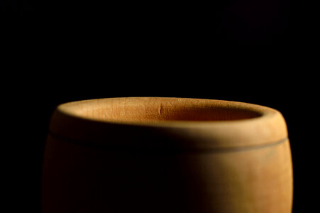 wood vessel photo
