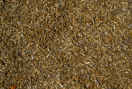 Wood chips photo