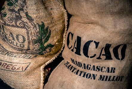 Cacao bags photo