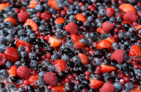 Forest berries photo