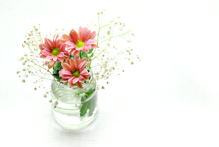 flowers on a vase photo