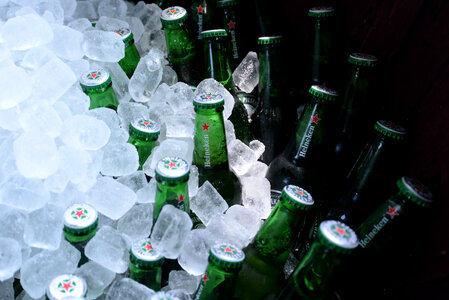 Cooled beer bottles photo