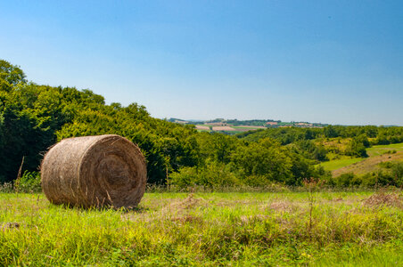 Hay rolls in France photo