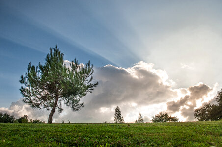 Clouds and sunrays photo