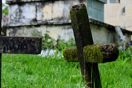 graveyard photo