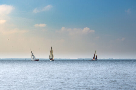 Sail boats photo