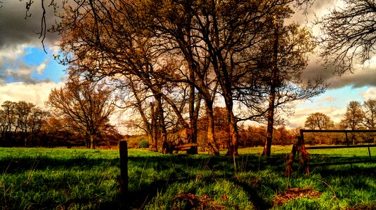 Meadow in HDR photo