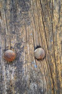 Wood and nails photo