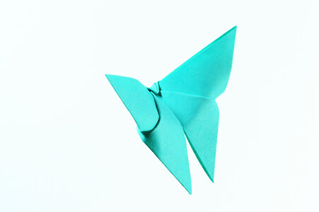 Origami butterfly photo