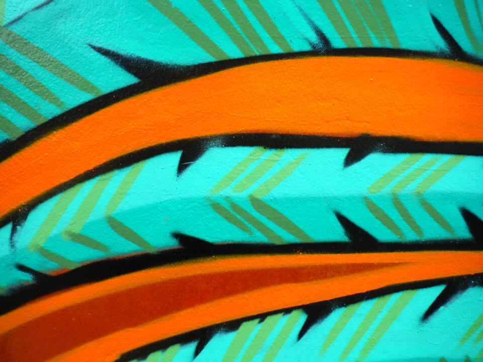 Graffiti detail-feathers photo