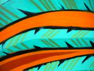 Graffiti detail-feathers
