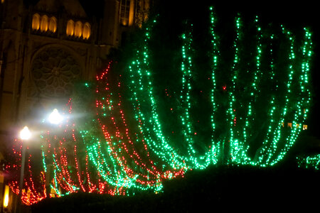 red and green Christmas lights photo