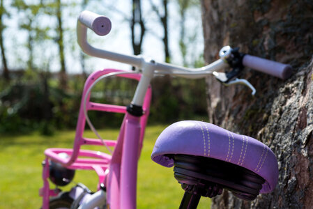 Little girls bicycle photo