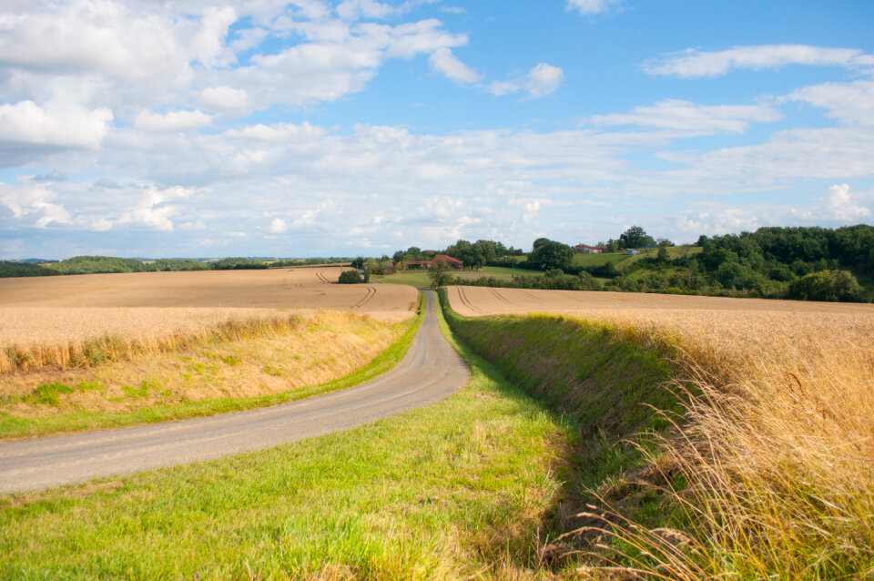 Rural road in France