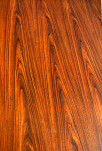wood grain texture 2 photo