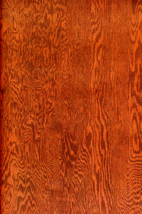 woodgrain texture 1 photo
