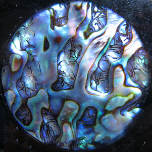 abalone pendant closeup photo